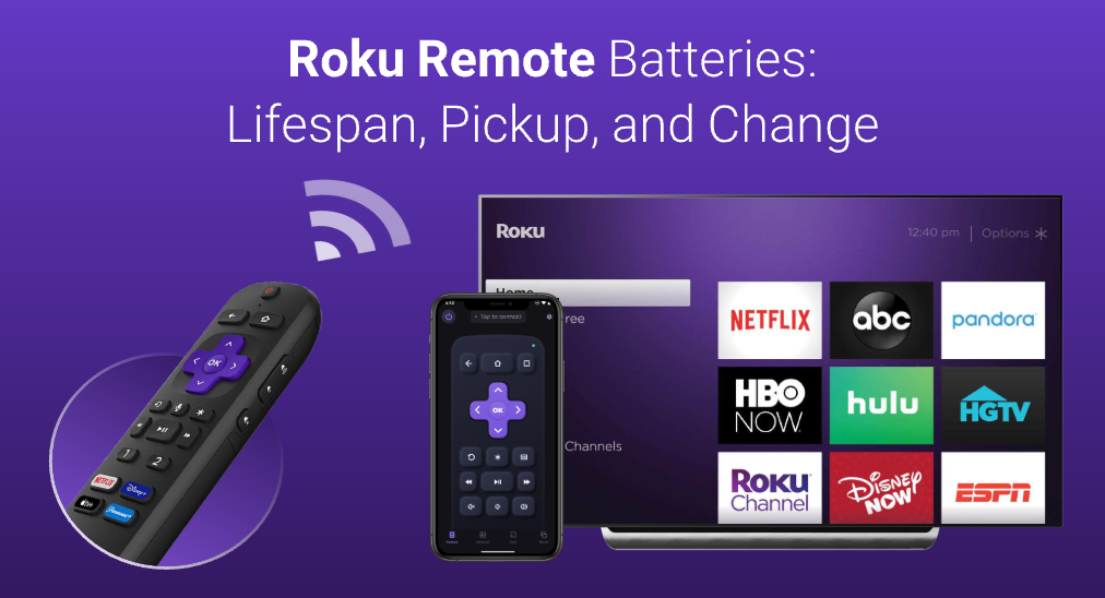 Roku Remote Batteries