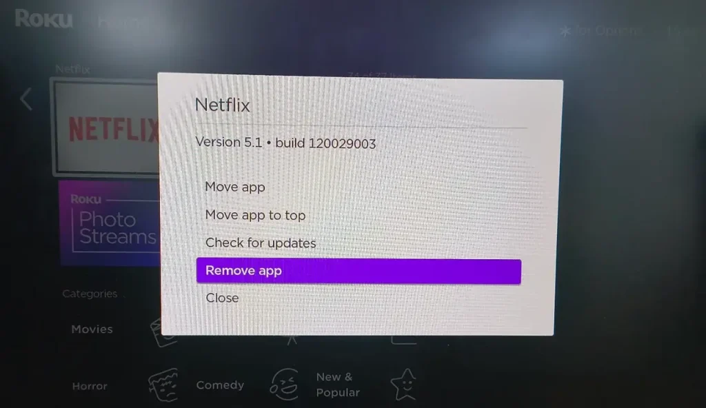 choose Check for updates for the Netflix app