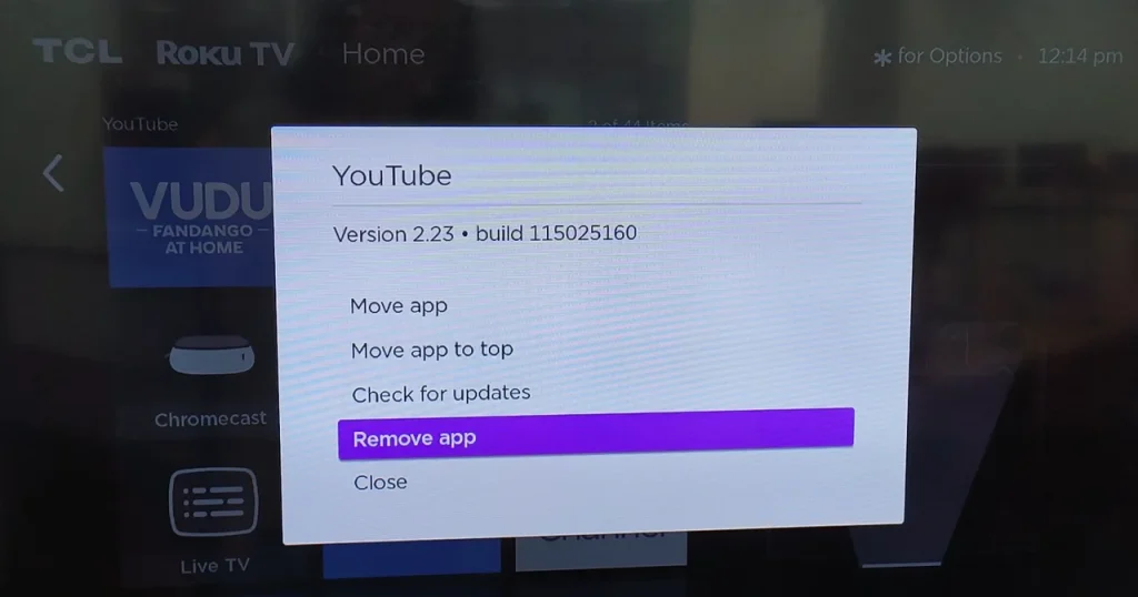choose to remove the YouTube channel from Roku