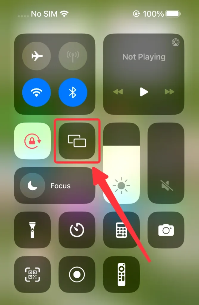 Screen Mirroring Button