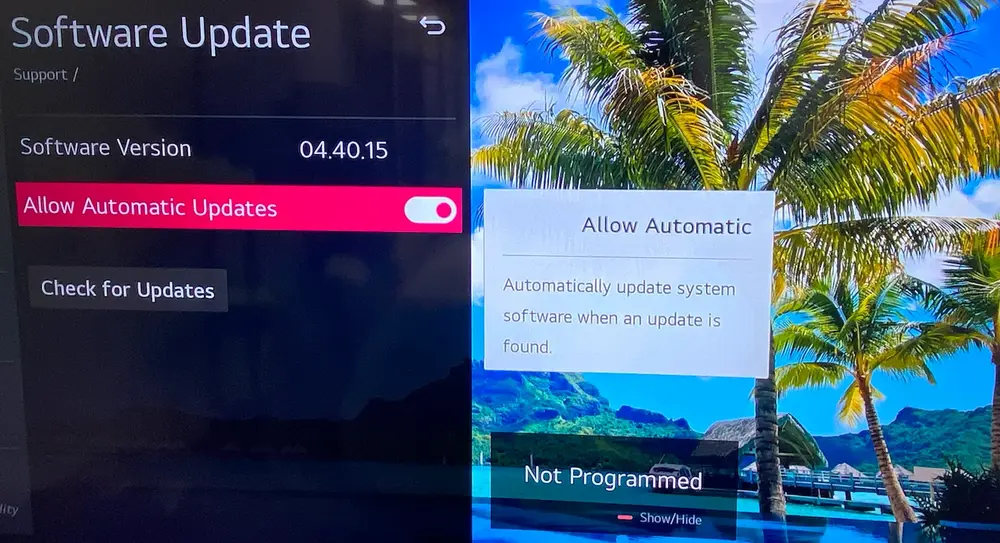 enable Auto Update on LG TV