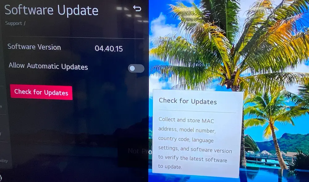 choose Check for Updates on LG TV