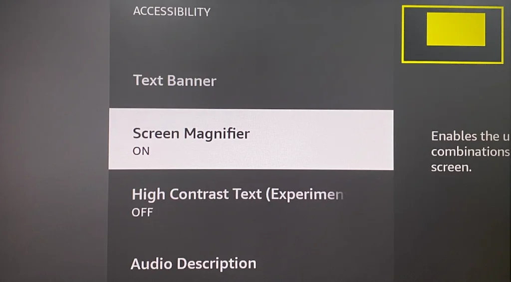 turn on Firestick Screen Magnifier