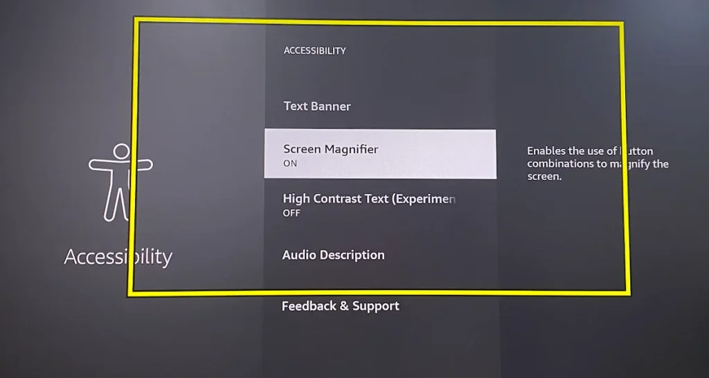 disable the zoom feature