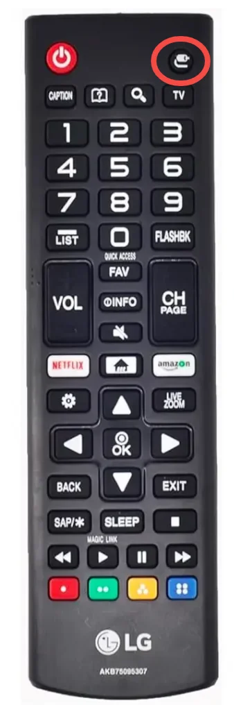 the input button on standard LG TV remote