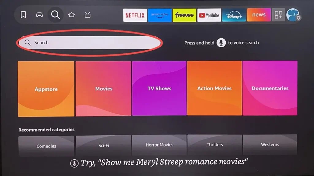 Search option on FireStick