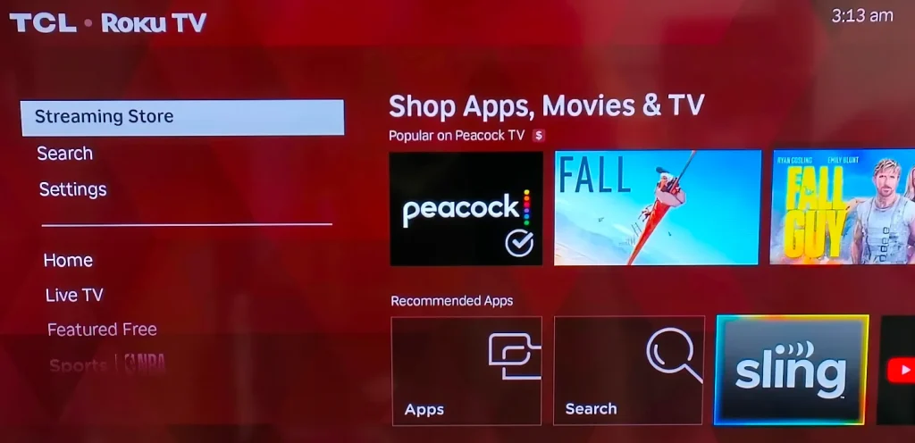 choose Streaming Store on Roku