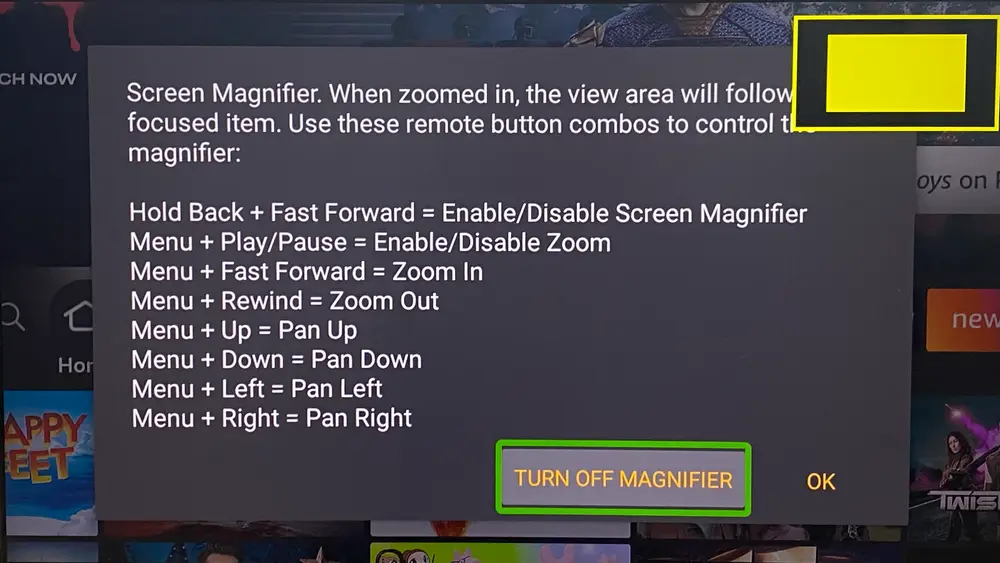 Screen Magnifier on FireStick