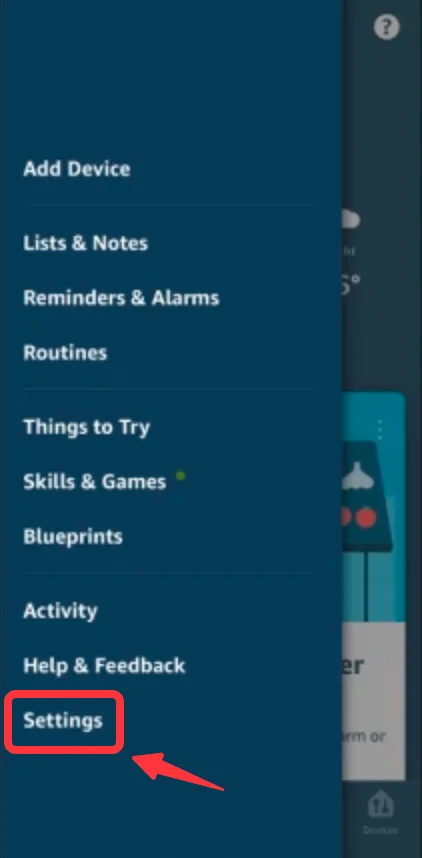 Alexa app settings