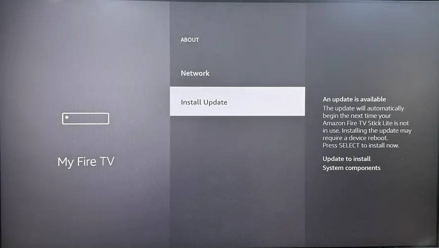 Install update option on the Insignia Fire TV